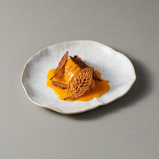 Silvina kolekcija kamenine sa reaktivnom glazurom